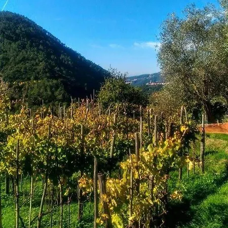 Agriturismo Il Castagneto Farmház