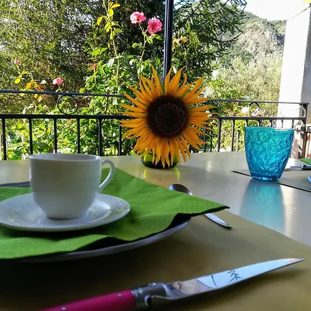 Agriturismo Il Castagneto Farmház
