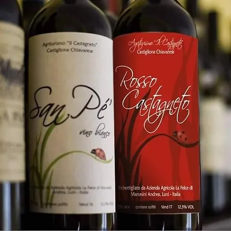 Agriturismo Il Castagneto Castiglione Chiavarese