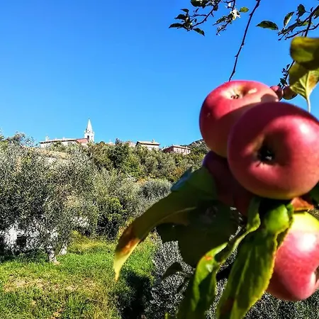 Agriturismo Il Castagneto